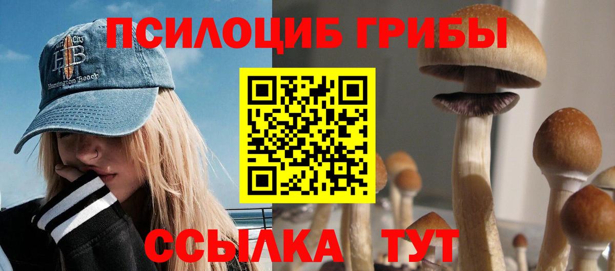 Галлюциногенные грибы Psilocybe  Вход с VPN  Ухта 